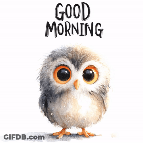 Cartoon Owl Saying Good Morning GIF