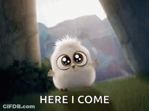Cartoon Owl Saying Here I Come GIF