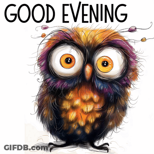 Cartoon Owl With Big Eyes Good Evening GIF