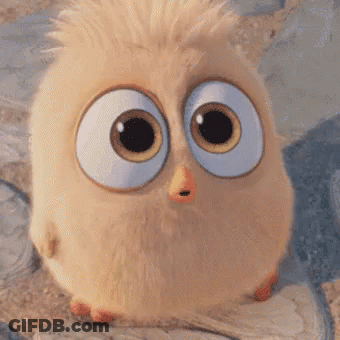 Cartoon Owl With Big Eyes Surprised GIF