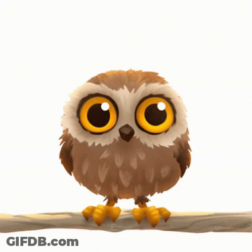 Cartoon Owl With Big Yellow Eyes GIF