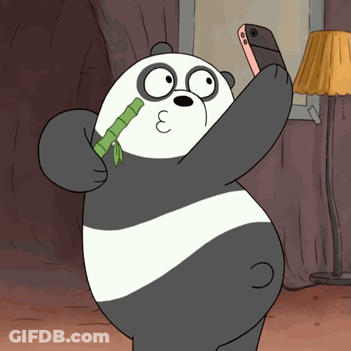 Cartoon Panda Bear Taking Selfie GIF