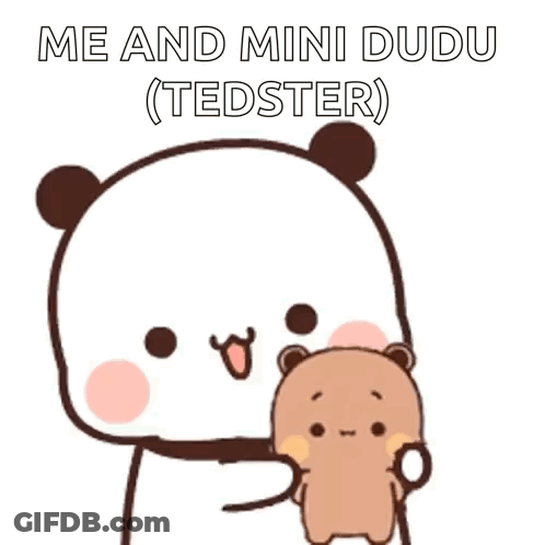Cartoon Panda Holding Teddy Bear Saying Me And Mini Dudu GIF