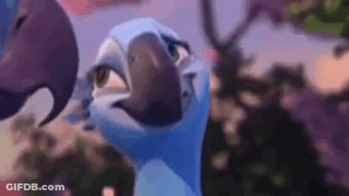 Cartoon Parrot Close Up GIF