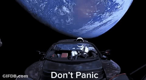 Cartoon Penguin Driving Blue Car GIF