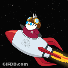 Cartoon Penguin Flying On Rocket GIF