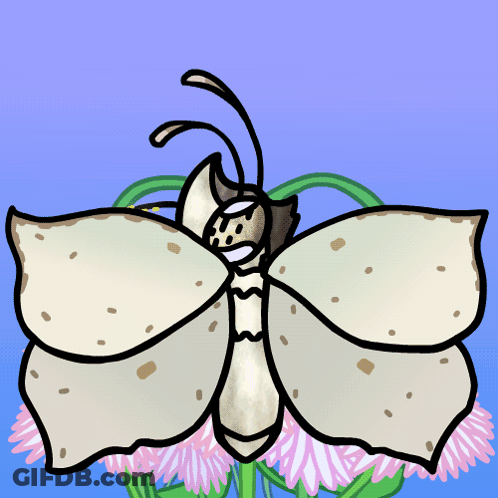 Cartoon Penguin Flying Only Up GIF