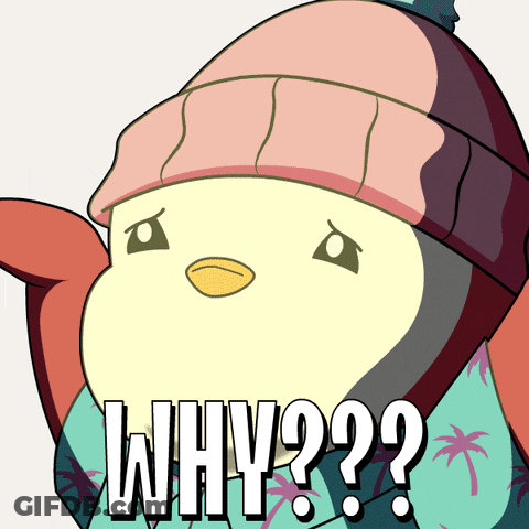 Cartoon Penguin In Pink Hat And Blue Scarf Saying Why GIF