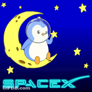 Cartoon Penguin Sitting On Crescent Moon Holding Star GIF