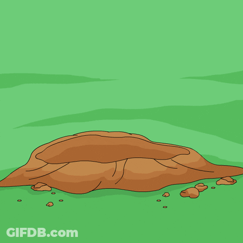 Cartoon Penguin Wearing Bear Hat GIF