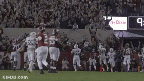 Cartoon Penguin Wearing Football Helmet Named Pengu GIF