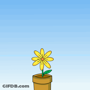 Cartoon Penguin With Flower Pot GIF