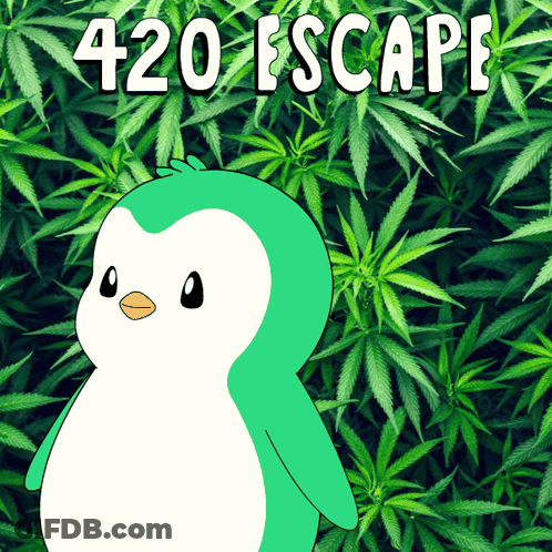 Cartoon Penguin With Marijuana Plant And 420 Escape GIF