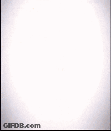 Cartoon Person Covering Head With Hands GIF