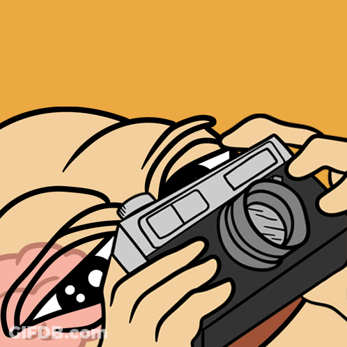Cartoon Person Holding Camera GIF