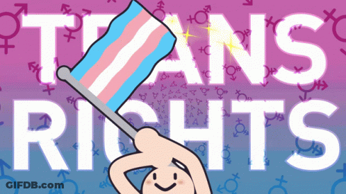 Cartoon Person Holding Transgender Flag With Trans Rights GIF