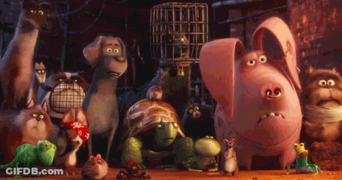 Cartoon Pig And Turtle Standing Together GIF