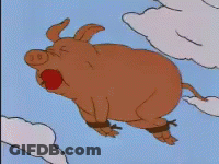 Cartoon Pig Flying With Ball In Mouth GIF