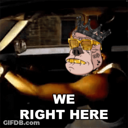 Cartoon Pig In Sunglasses And Crown Driving Car We Right Here GIF
