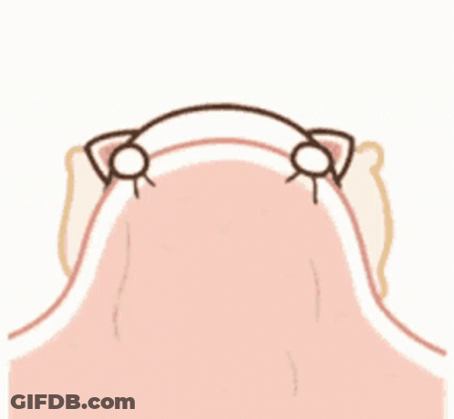 Cartoon Pig Laying Under Pink Blanket Crying GIF