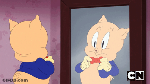 Cartoon Pig Looking In Mirror With CN GIF