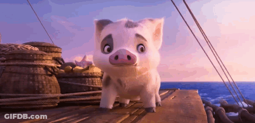 Cartoon Pig On Boat Near Ocean GIF