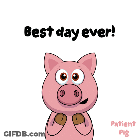 Cartoon Pig Saying Best Day Ever And Yes GIF