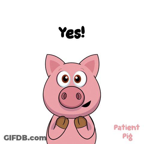 Cartoon Pig Says Yes And Patient Pig GIF