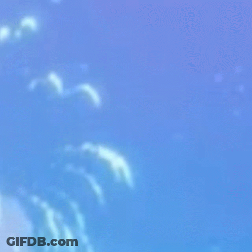 Cartoon Pile Of Brown Poop On Blue Background GIF