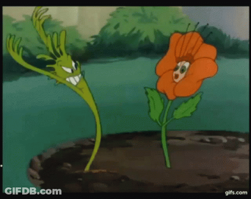 Cartoon Plant And Flower With Faces GIF