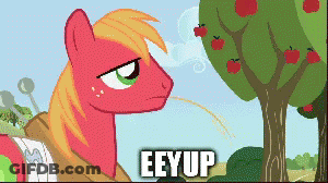 Cartoon Pony Saying Eeyup GIF