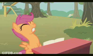 Cartoon Pony Sitting At Desk With Book GIF