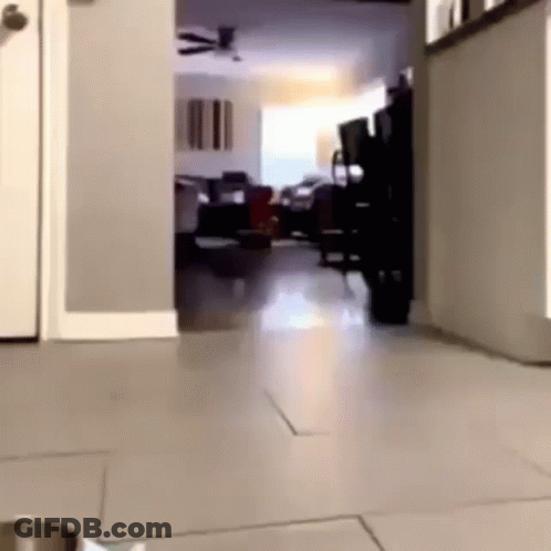 Cartoon Pug With Big Eyes GIF