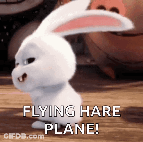 Cartoon Rabbit Flying Hare Plane GIF