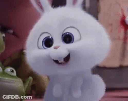 Cartoon Rabbit From Secret Life Of Pets GIF