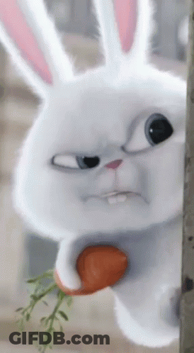 Cartoon Rabbit Holding Carrot GIF