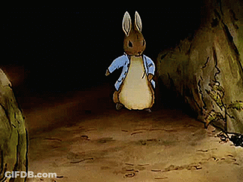 Cartoon Rabbit In Blue Jacket Standing In Cave GIF