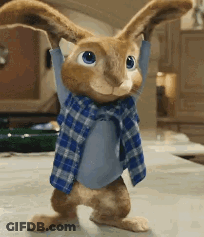 Cartoon Rabbit In Blue Plaid Shirt And Scarf Standing On Table GIF