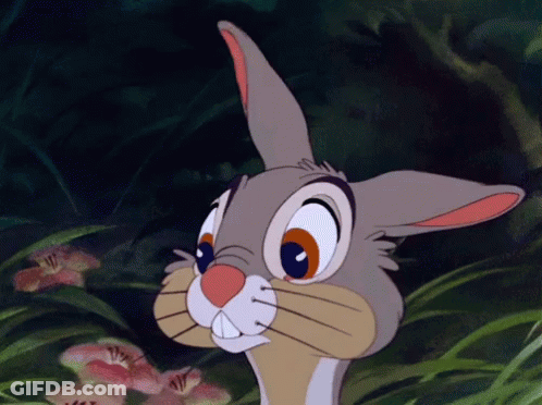 Cartoon Rabbit In Grass Looking At Camera GIF