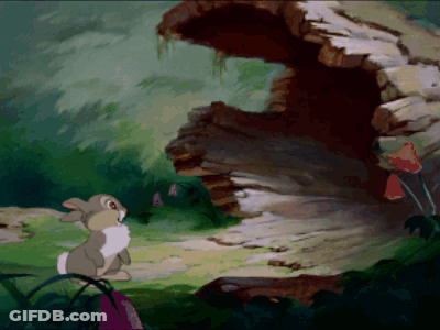 Cartoon Rabbit Looking At Cave GIF