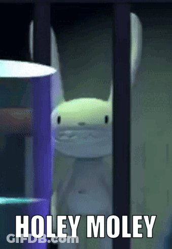 Cartoon Rabbit Saying Holey Moley GIF