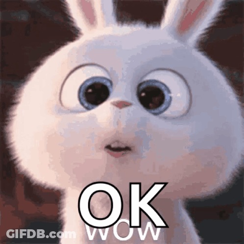 Cartoon Rabbit Saying Ok Wow GIF