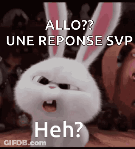 Cartoon Rabbit Says Allo And Response GIF