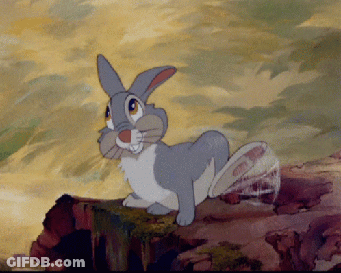 Cartoon Rabbit Standing On Rock Looking At Camera GIF