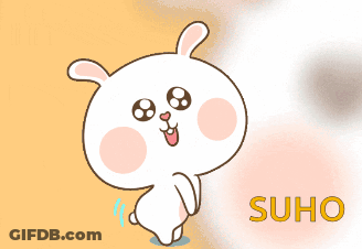Cartoon Rabbit Suho Name GIF