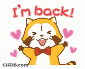 Cartoon Raccoon In Bow Tie Says I'm Back GIF