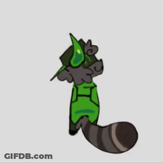 Cartoon Raccoon In Green Shirt And Hat GIF