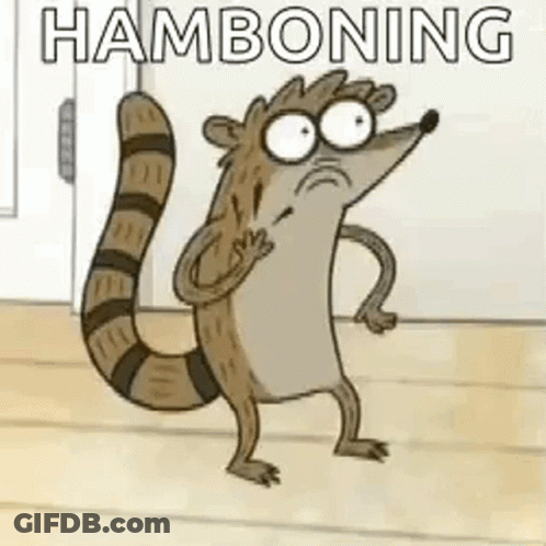Cartoon Raccoon Making Funny Face GIF