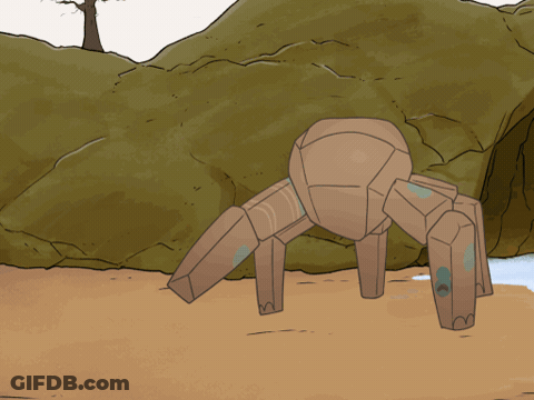 Cartoon Raccoon Standing Next To Spider GIF