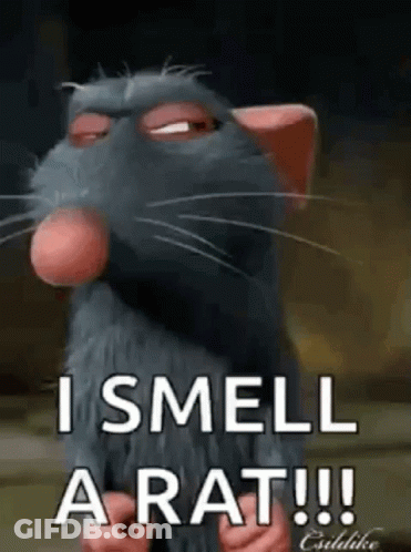 Cartoon Rat Saying I Smell A Rat GIF
